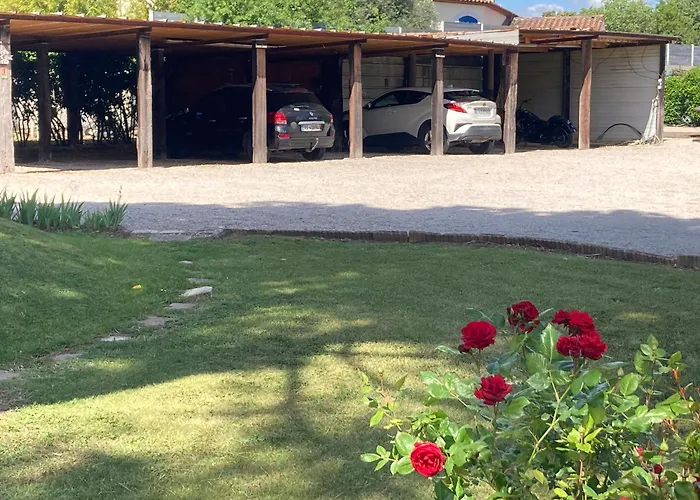 Les Bougainvillees De Camargue