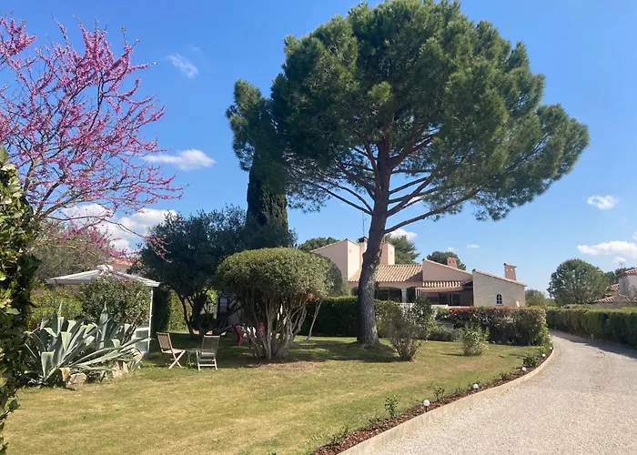 Les Bougainvillees De Camargue