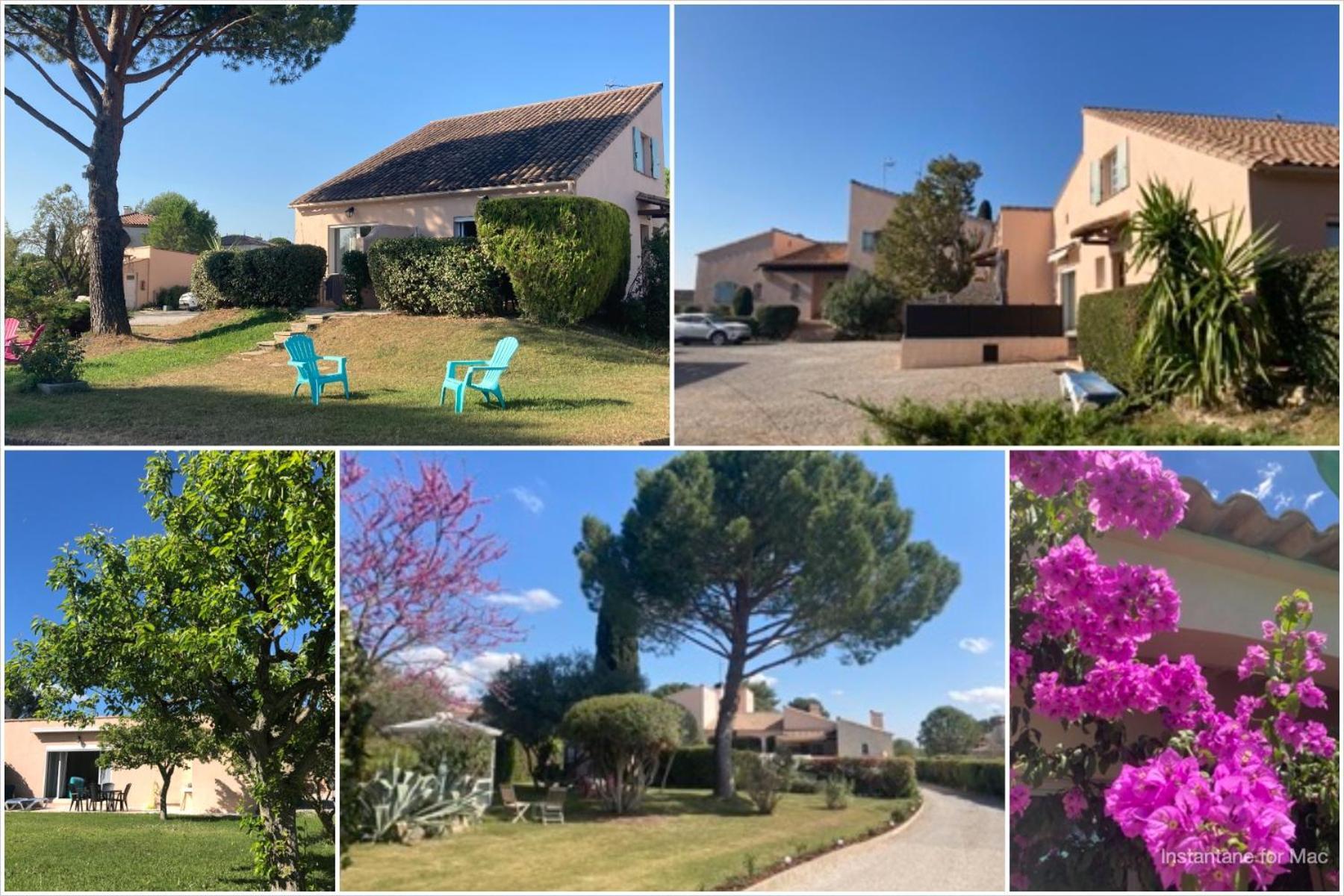 Les Bougainvillees De Camargue *