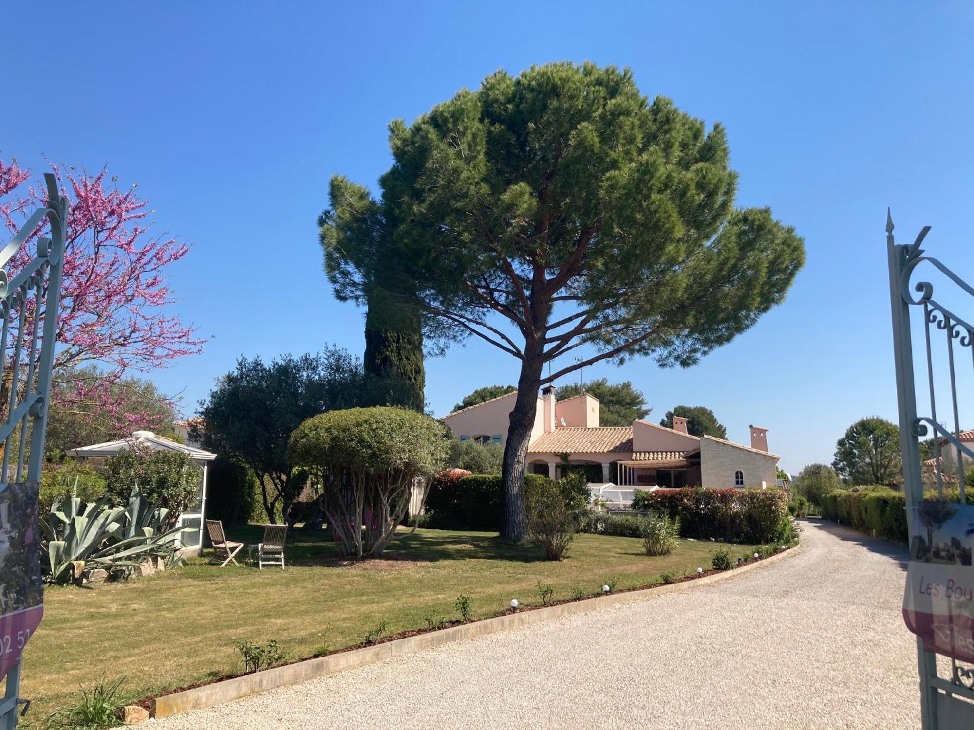 Les Bougainvillees De Camargue *