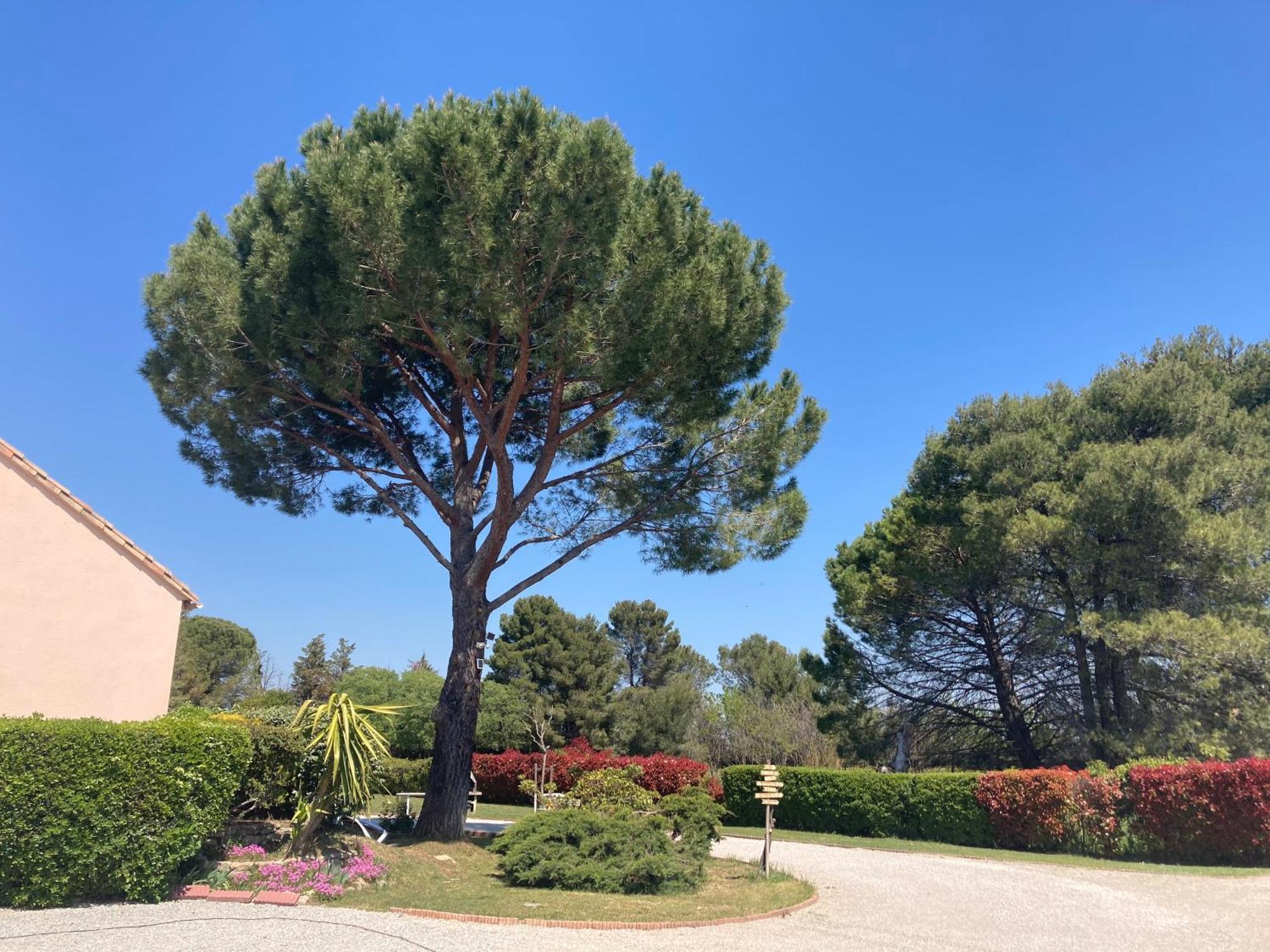 Holiday home Les Bougainvillees De Camargue Villetelle